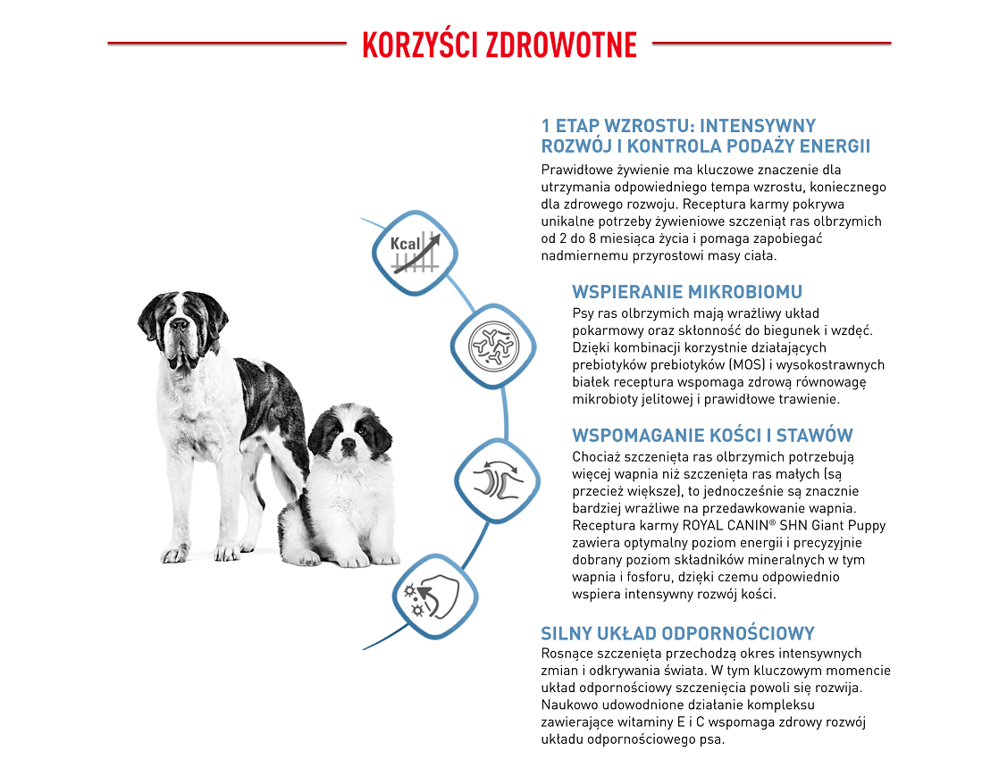 ROYAL CANIN Giant Puppy 15 kg